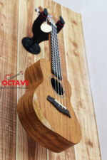 Krines- 24'' Concert Size ukulele Price in BD