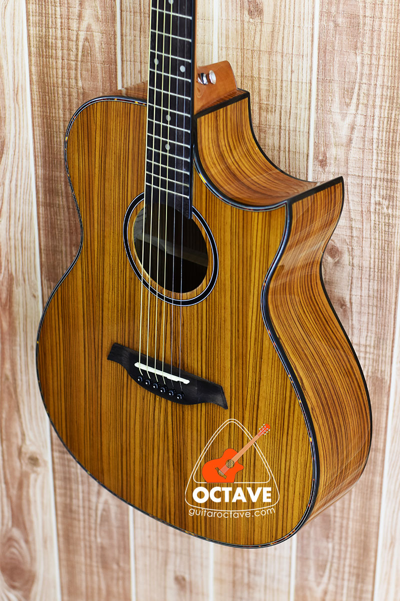 chard acoustic guitar price