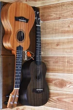 Strinberg 24" UK-06C Premium Concert Ukulele Price in BD | Best ukulele Shop in BD