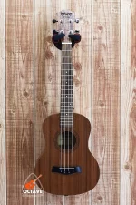 BWS 26'' Tenor Size ukulele in BD | Cheap Tenor Ukulele in BD