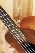 BWS 26'' Tenor Size ukulele in BD | Cheap Tenor Ukulele in BD