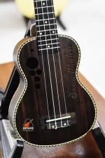 amnoon 21 rosewood body premium soprano ukulele Price in BD | Best Ukulele Shop in BD