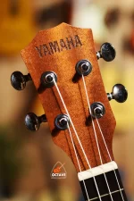 Cheap 24 inch Concert size Yamaha ukulele in BD | Ukulele Center BD | Yamaha Ukulele Shop BD