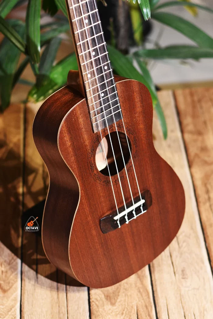 Cheap 24 inch Concert size Yamaha ukulele in BD | Ukulele Center BD | Yamaha Ukulele Shop BD