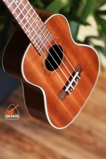 Cordey® CR-24MT Meloton Concert Ukulele Price In bd